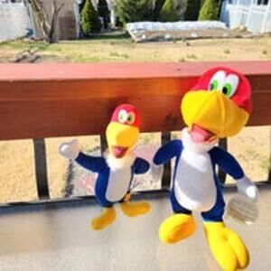 Vintage Woody Woodpecker Plushes 2 Set